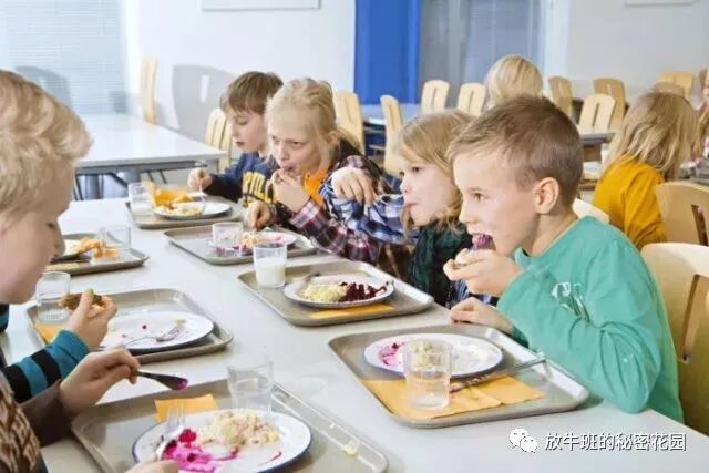 《《这就是芬兰》：四代人的教育历程》