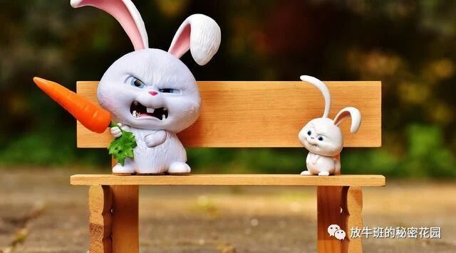 《“小白兔”员工赶走了，“狼群”就回来了？兼谈创业创新之困》