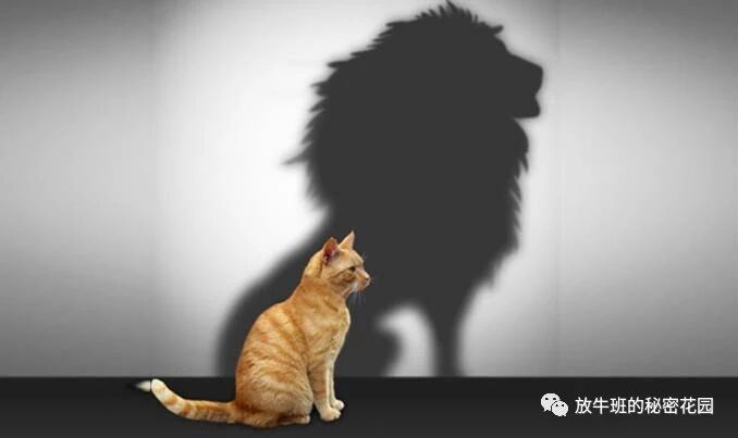 《《哈佛商业评论》：想让自己看起来更有能力，那就再自信些吧》