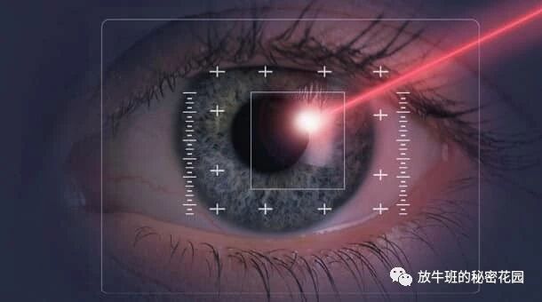 《未来的鼠标什么样？就是你的眼睛》