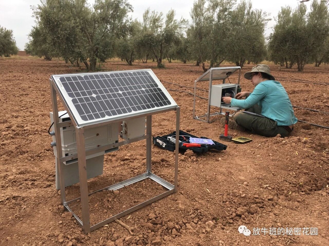 《麻省理工学院《科技评论》：改变世界的十项最新“低科技”发明》