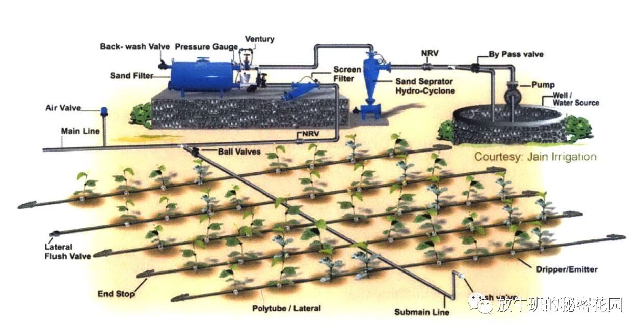 《麻省理工学院《科技评论》：改变世界的十项最新“低科技”发明》