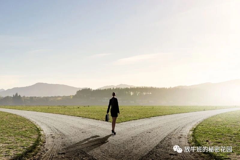 《麻省理工学院教授深度剖析：如何直面你的中年职场危机》