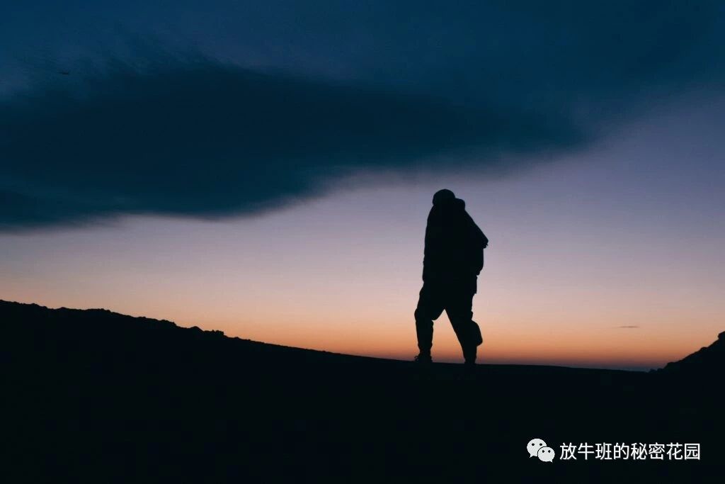 《麻省理工学院教授深度剖析：如何直面你的中年职场危机》