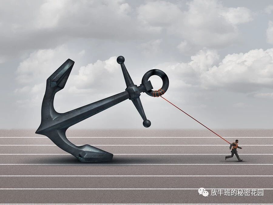 《麻省理工学院教授深度剖析：如何直面你的中年职场危机》