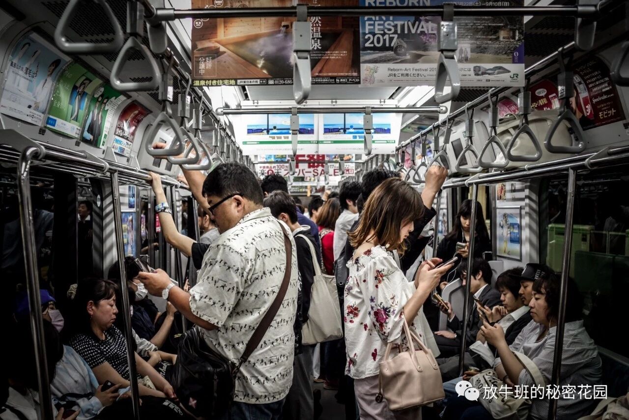 《数字化生存：用数字极简主义简化你的在线生活》