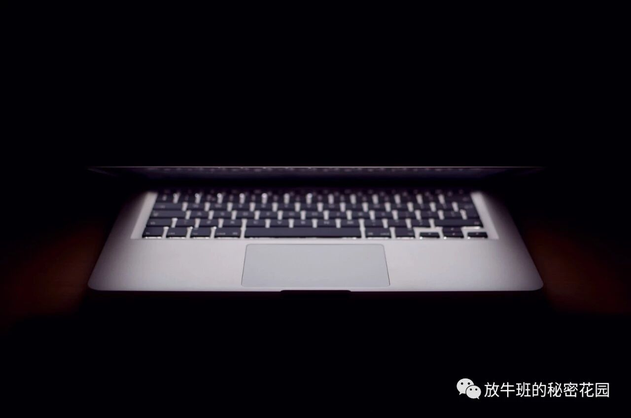 《数字化生存：用数字极简主义简化你的在线生活》