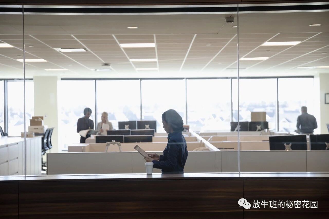 《开放式办公室没那么好，为啥科技公司还追捧？谷歌脸书成功标配嘛》