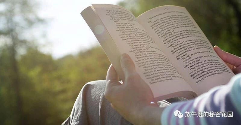 《你真的会阅读吗？如何避免陷入快速阅读误区，更好地理解和记忆》