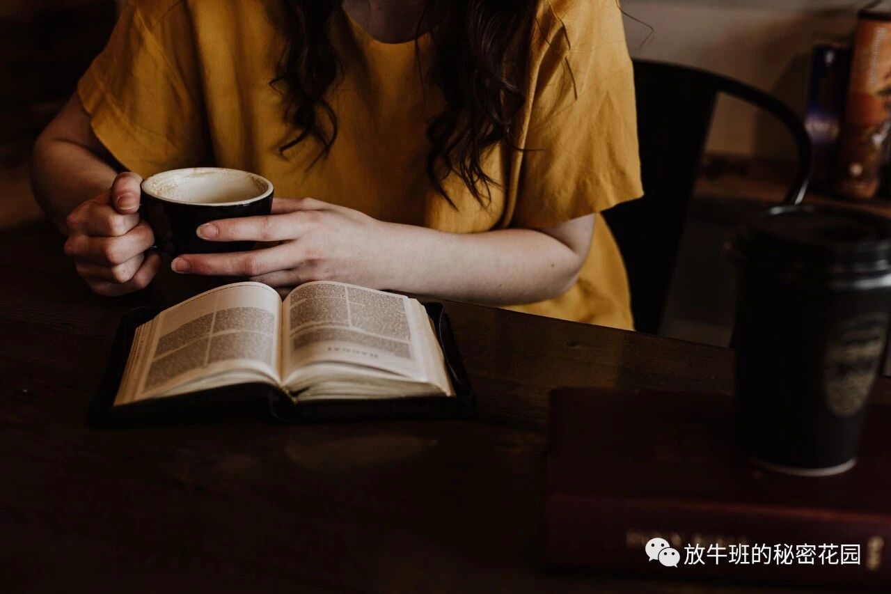 《你真的会阅读吗？如何避免陷入快速阅读误区，更好地理解和记忆》