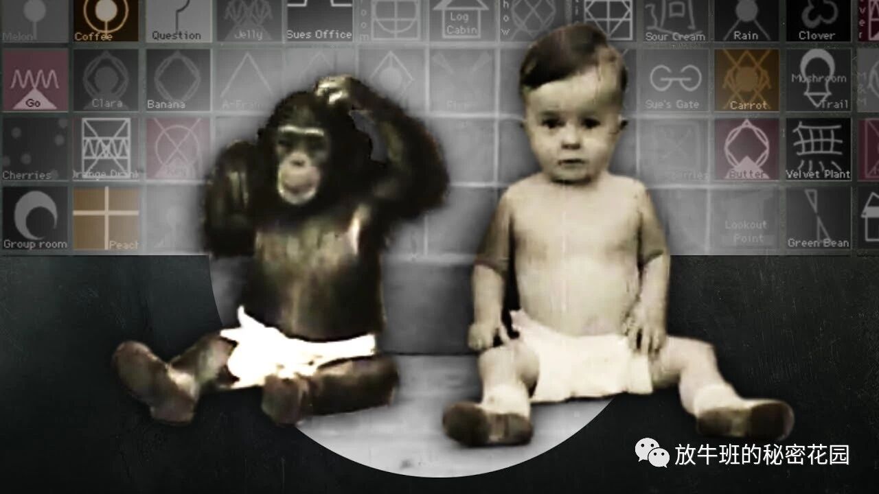 《爸爸的奇迹——人类学家谈父亲角色在人类进化史中的关键作用》