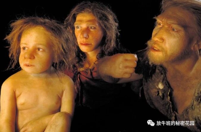 《爸爸的奇迹——人类学家谈父亲角色在人类进化史中的关键作用》