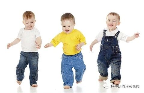 《爸爸的奇迹——人类学家谈父亲角色在人类进化史中的关键作用》