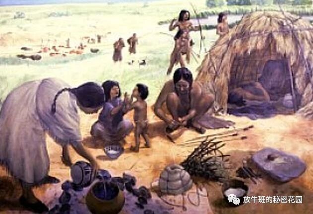 《爸爸的奇迹——人类学家谈父亲角色在人类进化史中的关键作用》