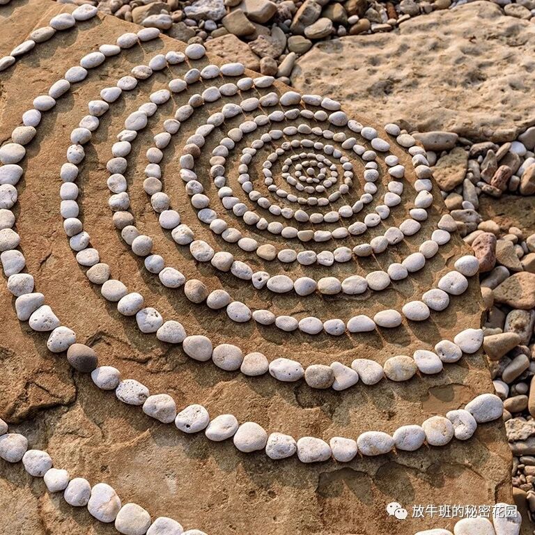 《简单未必好？过于偏爱简单往往破坏多样性和扼杀创造力》