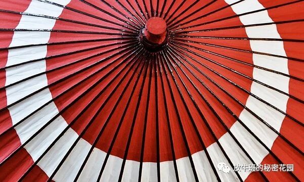 《简单未必好？过于偏爱简单往往破坏多样性和扼杀创造力》