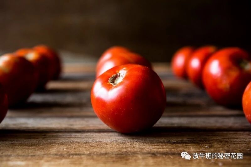 《向高效能人士学习创建个人专属效能系统》