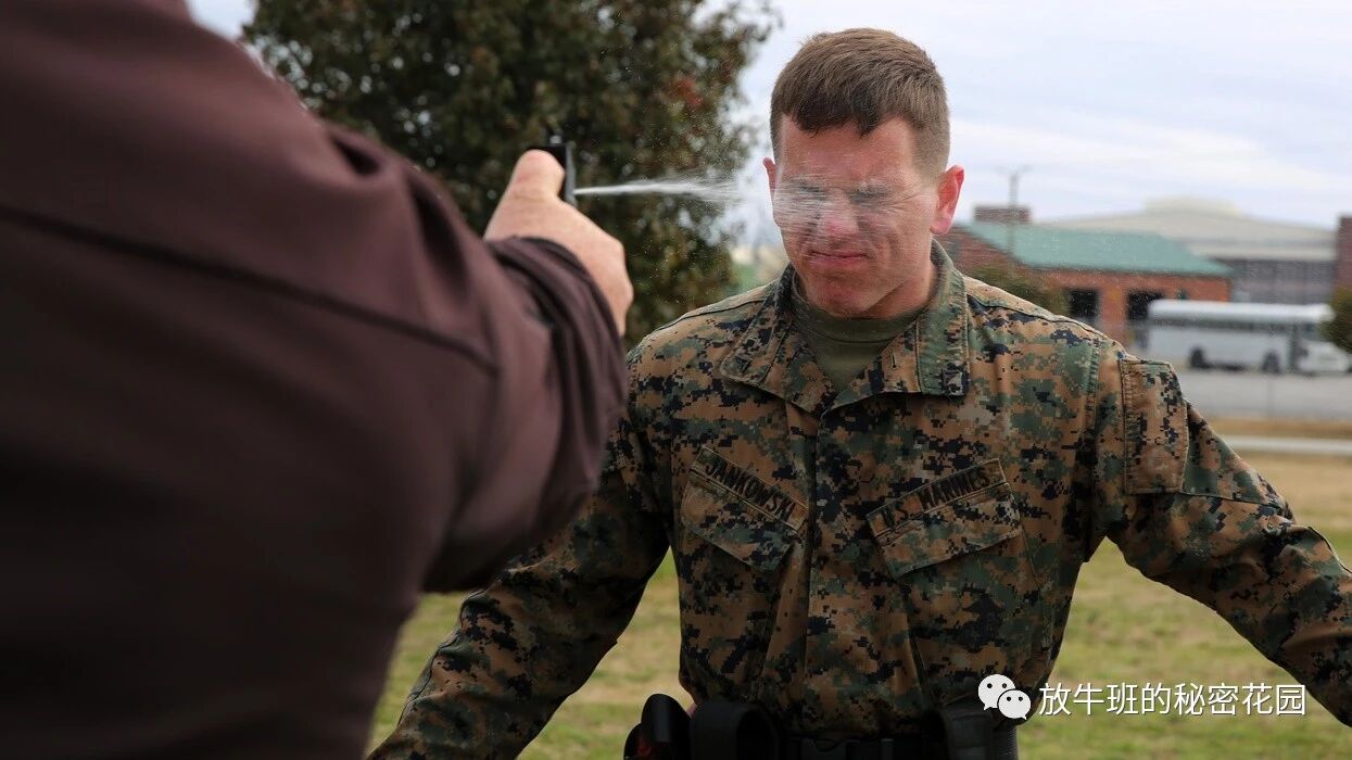 《燃烧的乐趣：为什么我们喜欢吃辣？》