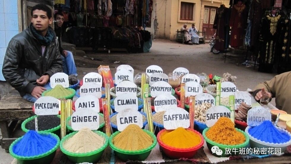 《燃烧的乐趣：为什么我们喜欢吃辣？》