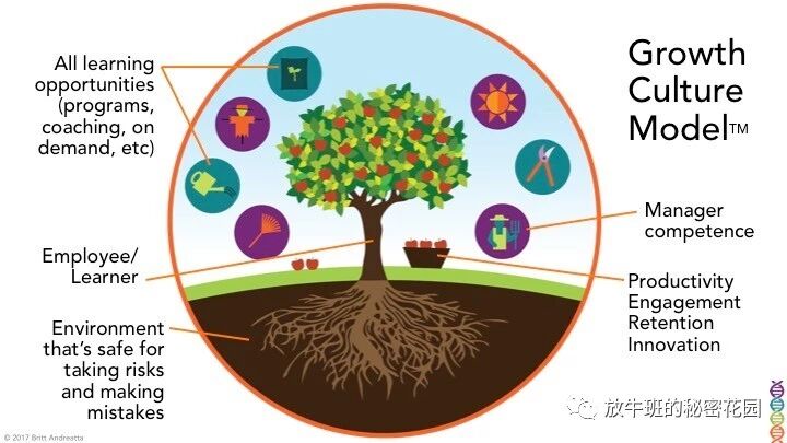《别再沉迷于绩效了，成长型文化将为企业释放无限能量》