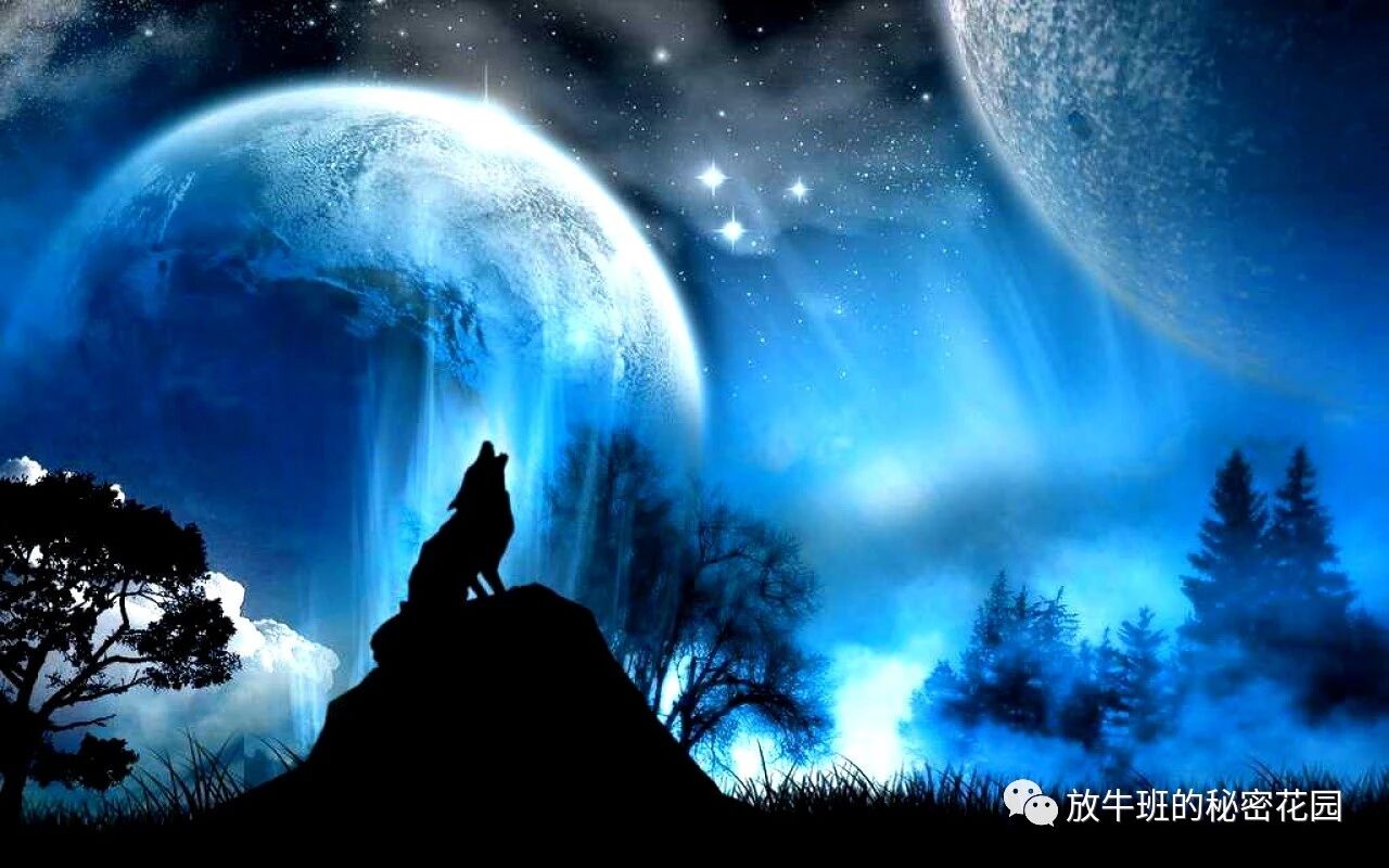 《早起鸟、夜猫子out了？熊、狼等四种全新睡眠类型将刷新你的认知》