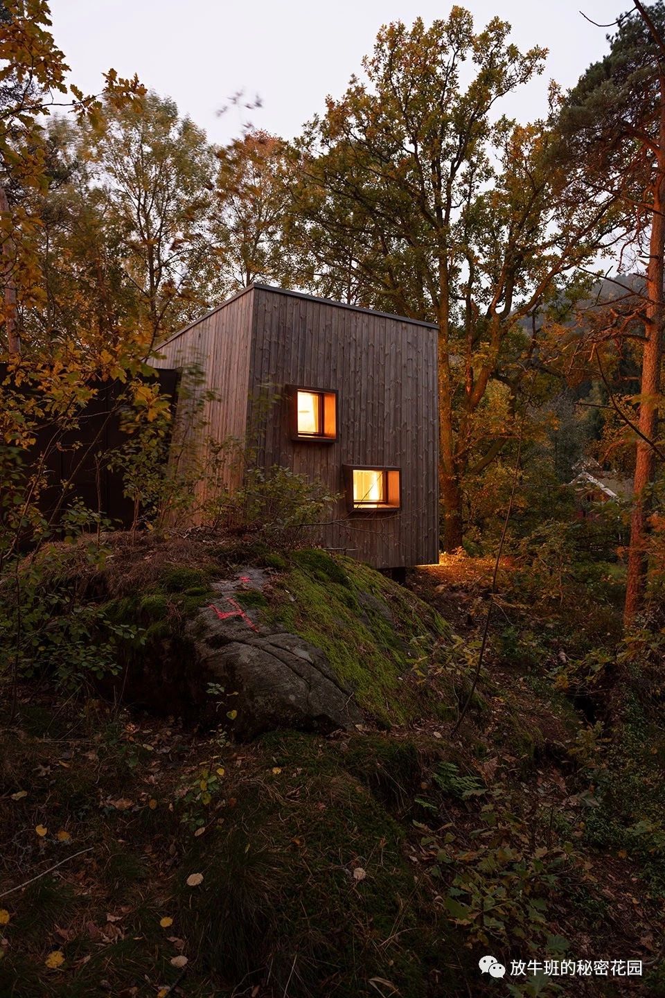 《挪威森林里的户外疗养小木屋——医院的崭新未来》