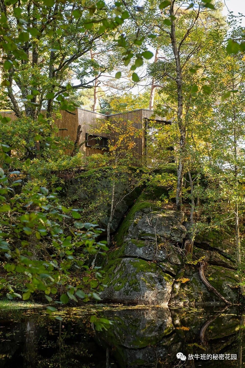 《挪威森林里的户外疗养小木屋——医院的崭新未来》