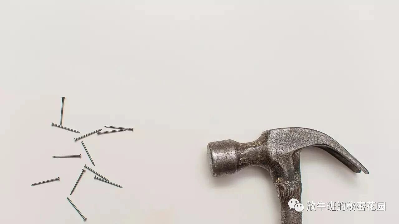 《巴菲特导师查理·芒格：什么都学一点——多元思维模型让决策更明智》