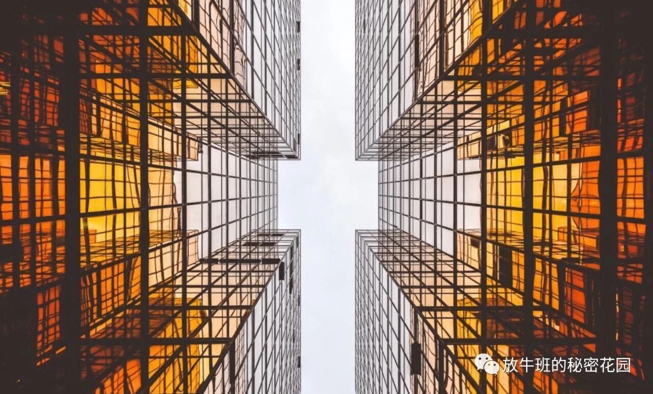 《巴菲特导师查理·芒格：什么都学一点——多元思维模型让决策更明智》