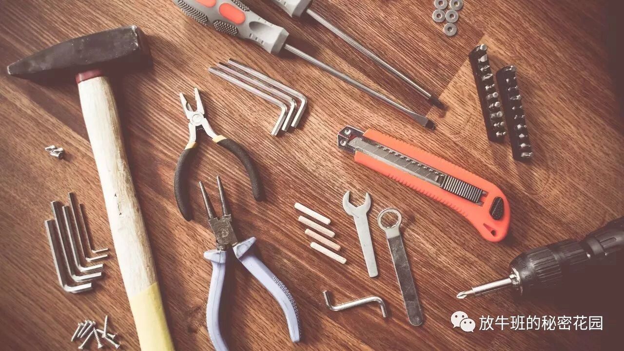 《巴菲特导师查理·芒格：什么都学一点——多元思维模型让决策更明智》