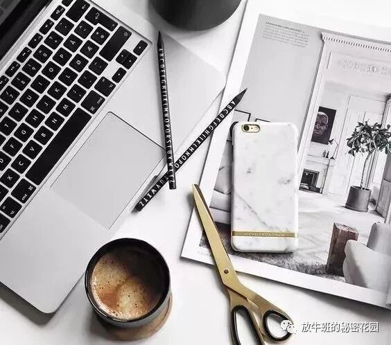 《风靡欧美社交圈的子弹笔记创始人教你用纸和笔打造超级手账，管理个人生活》