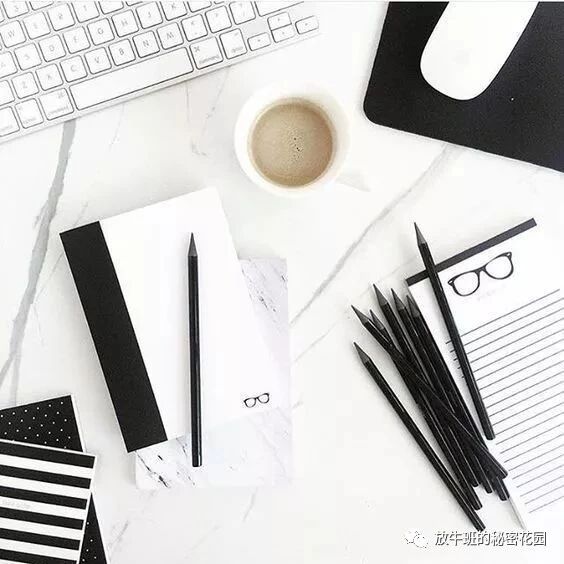 《风靡欧美社交圈的子弹笔记创始人教你用纸和笔打造超级手账，管理个人生活》