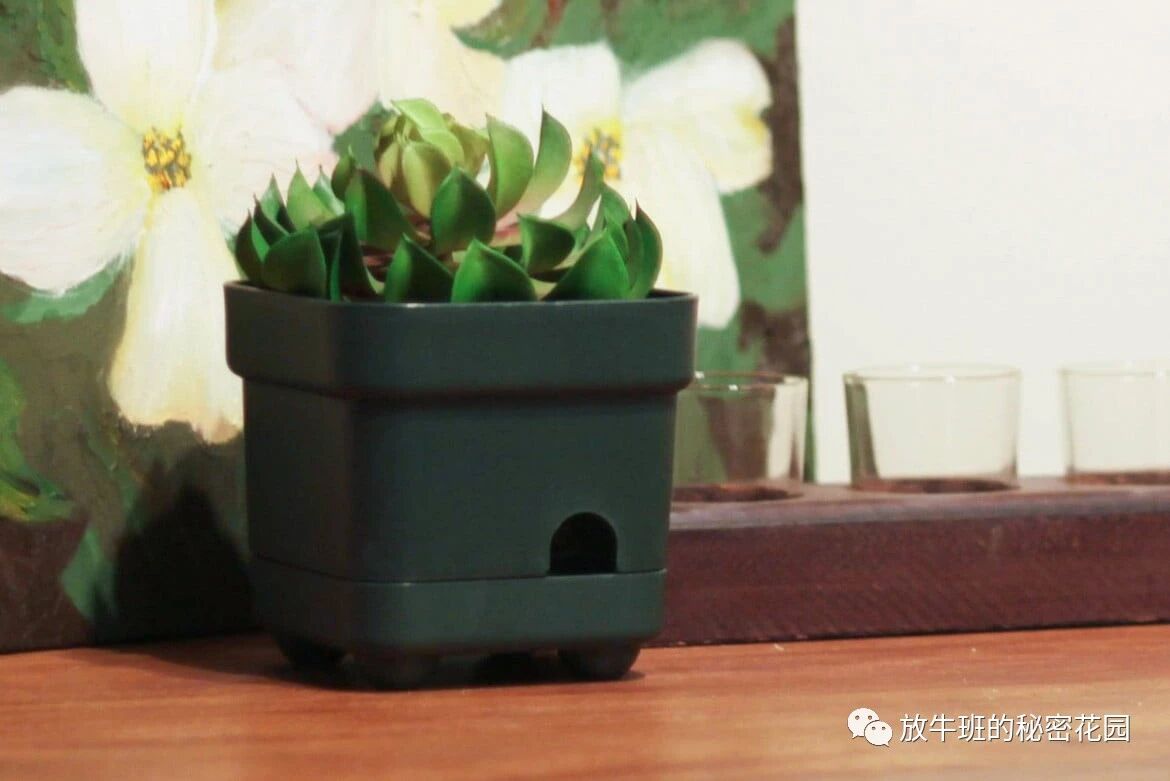 《如何找到Airbnb民宿房间里隐藏的摄像头》