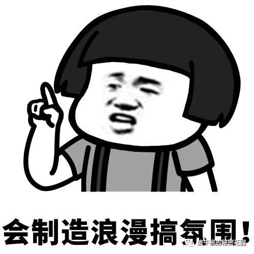 《别惹工程师：前NASA工程师用黑科技闪光臭屁弹报复偷包贼》