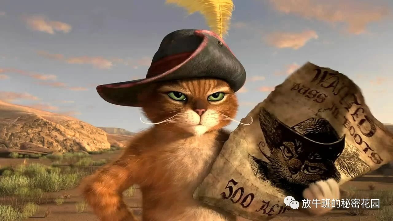 《别惹工程师：前NASA工程师用黑科技闪光臭屁弹报复偷包贼》