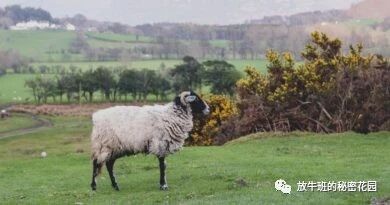 《后无聊时代：断网两年，我的世界变小了，也变充实了》