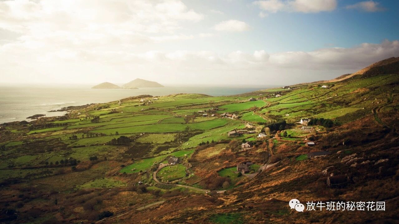 《后无聊时代：断网两年，我的世界变小了，也变充实了》