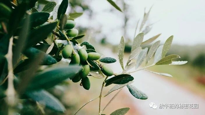 《从效率思维到效能思维，角度变化带来格局提升和巨大收益》