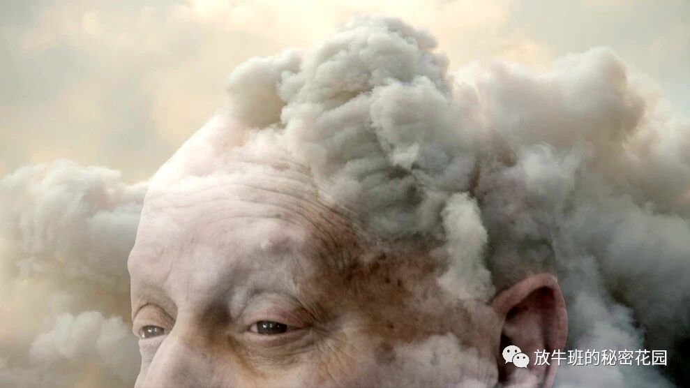 《《连线》：实锤来了，空气污染是痴呆症的元凶》