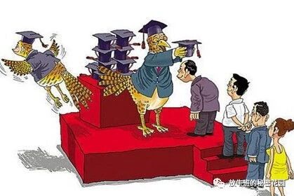 《你就一留学小白，还敢当甩手掌柜，黑中介不坑你坑谁？》