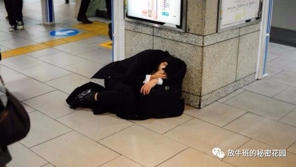 《微软日本试点每周工作四天效率猛增40%，996情何以堪？》