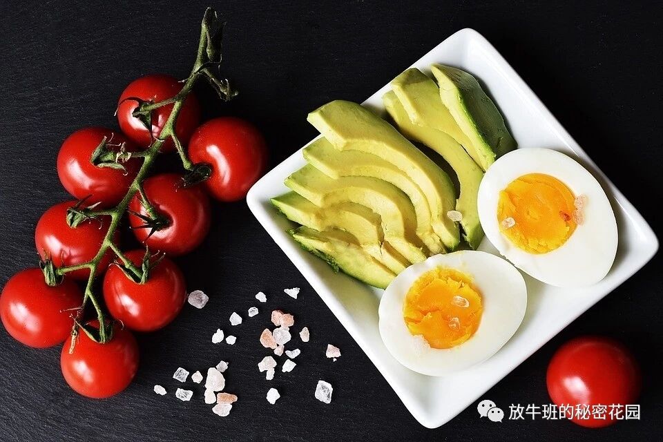 《生酮饮食能缓解抑郁症吗？这是迄今为止最科学的解释》