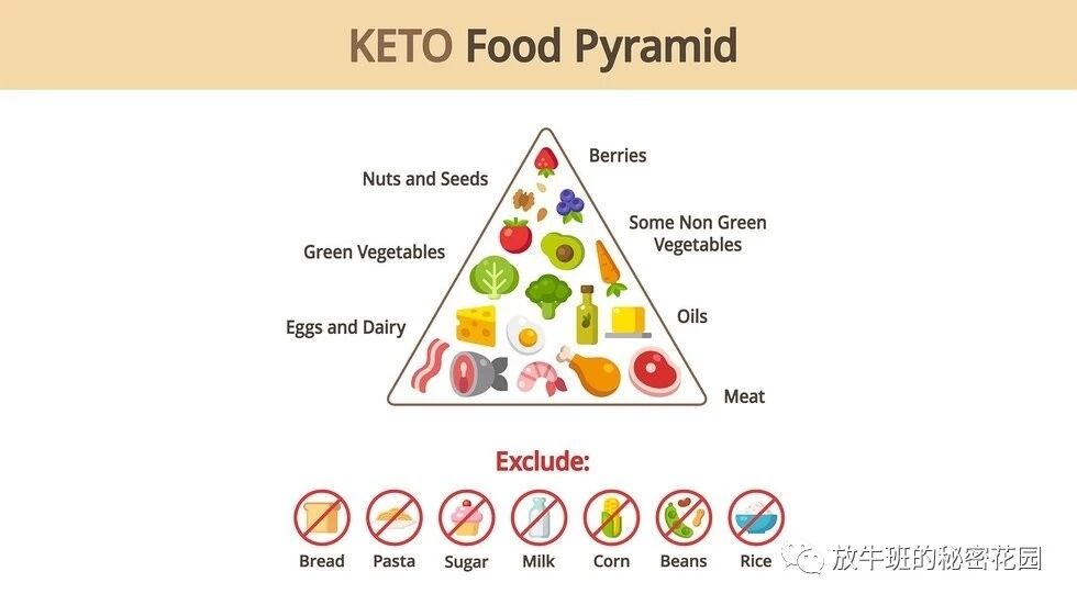 《生酮饮食能缓解抑郁症吗？这是迄今为止最科学的解释》