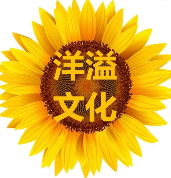 黄冈市洋溢文化传播有限公司