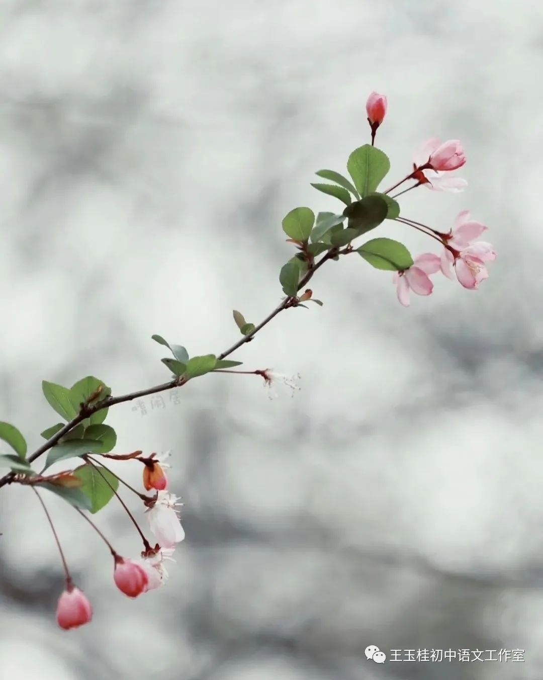 教师写教案的目的_教师教案怎么写_写教师节的作文300字