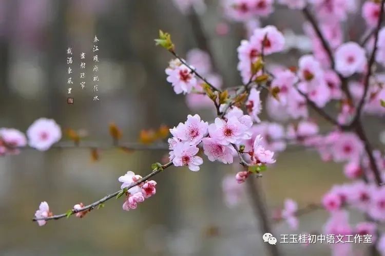 教师教案怎么写_教师写教案的目的_写教师节的作文300字