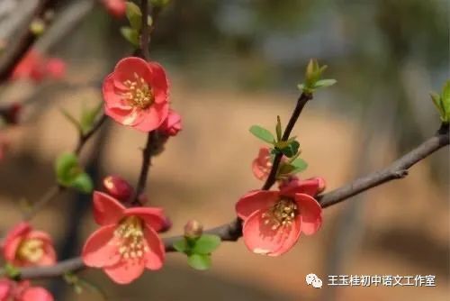 写教师节的作文300字_关于写教师日记的建议读后感_教师教案怎么写