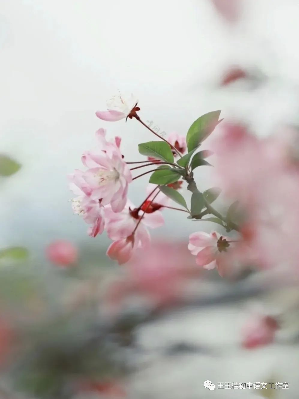 教师教案怎么写_教师写教案的目的_写教师节的作文300字