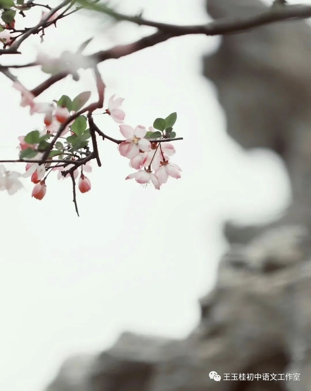 教师写教案的目的_写教师节的作文300字_教师教案怎么写