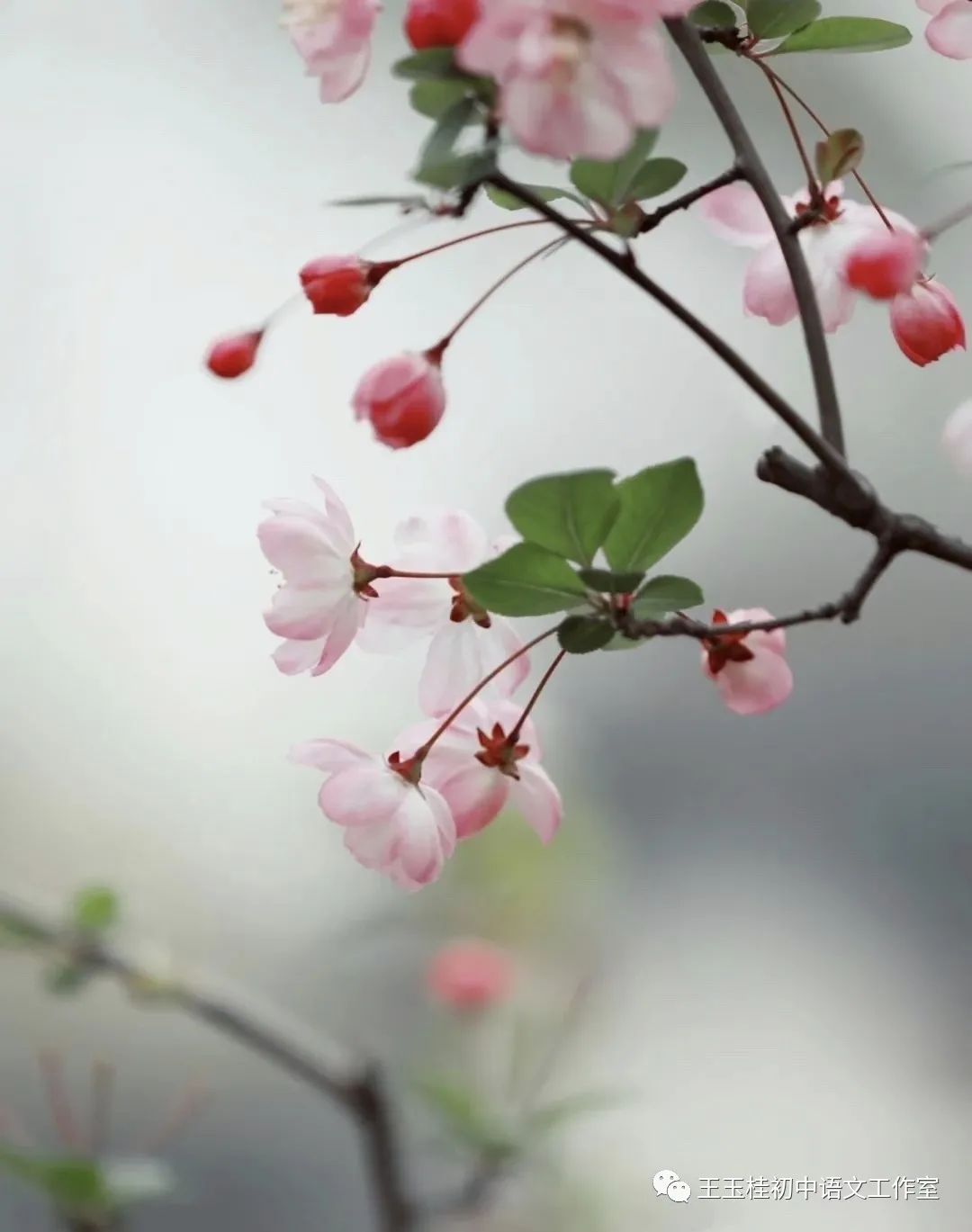 教师教案怎么写_教师写教案的目的_写教师节的作文300字